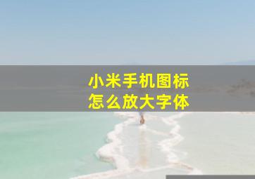 小米手机图标怎么放大字体