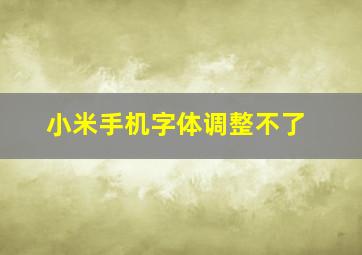 小米手机字体调整不了