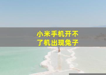 小米手机开不了机出现兔子