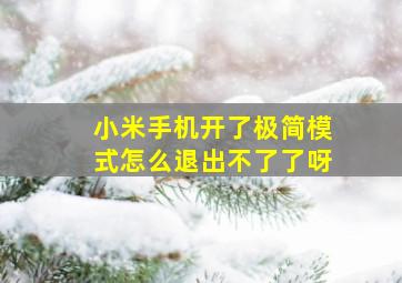 小米手机开了极简模式怎么退出不了了呀