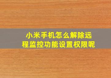 小米手机怎么解除远程监控功能设置权限呢