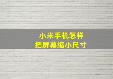 小米手机怎样把屏幕缩小尺寸