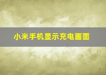 小米手机显示充电画面