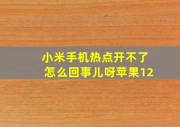 小米手机热点开不了怎么回事儿呀苹果12