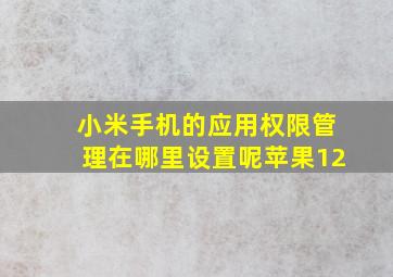 小米手机的应用权限管理在哪里设置呢苹果12