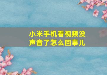 小米手机看视频没声音了怎么回事儿