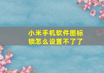 小米手机软件图标锁怎么设置不了了