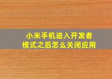 小米手机进入开发者模式之后怎么关闭应用