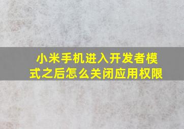 小米手机进入开发者模式之后怎么关闭应用权限