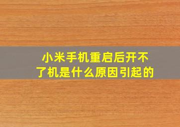 小米手机重启后开不了机是什么原因引起的