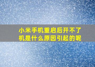 小米手机重启后开不了机是什么原因引起的呢