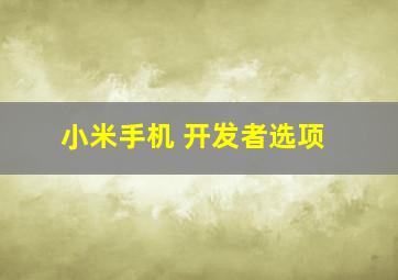 小米手机 开发者选项