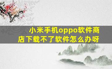 小米手机oppo软件商店下载不了软件怎么办呀