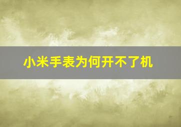 小米手表为何开不了机