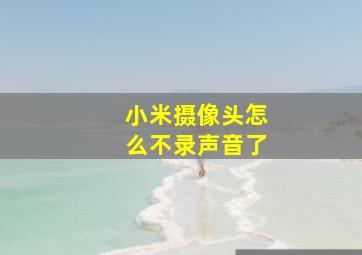 小米摄像头怎么不录声音了