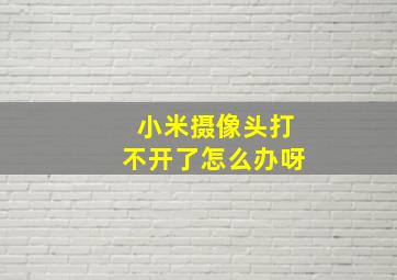 小米摄像头打不开了怎么办呀