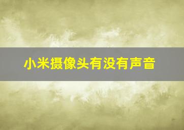 小米摄像头有没有声音