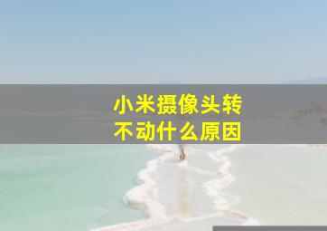 小米摄像头转不动什么原因