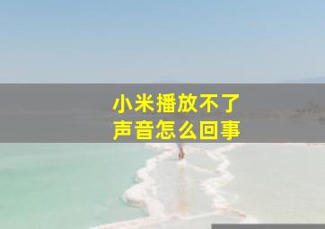 小米播放不了声音怎么回事