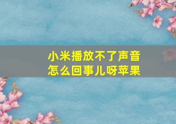 小米播放不了声音怎么回事儿呀苹果