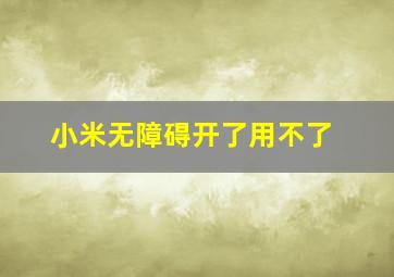 小米无障碍开了用不了