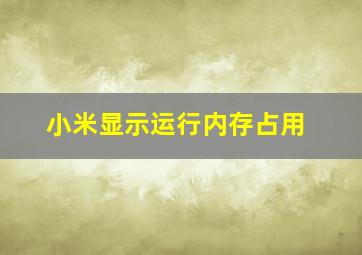 小米显示运行内存占用