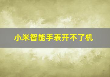 小米智能手表开不了机