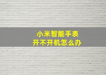 小米智能手表开不开机怎么办