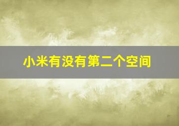 小米有没有第二个空间