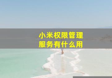 小米权限管理服务有什么用