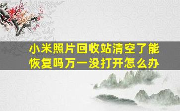 小米照片回收站清空了能恢复吗万一没打开怎么办