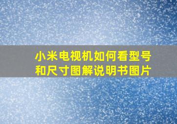 小米电视机如何看型号和尺寸图解说明书图片