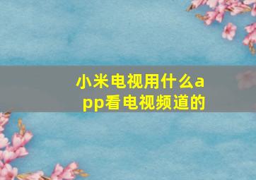 小米电视用什么app看电视频道的