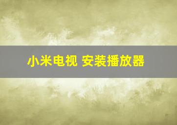 小米电视 安装播放器