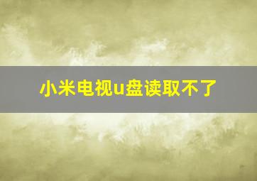 小米电视u盘读取不了