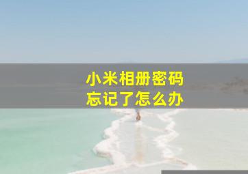 小米相册密码忘记了怎么办