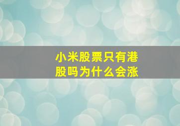 小米股票只有港股吗为什么会涨