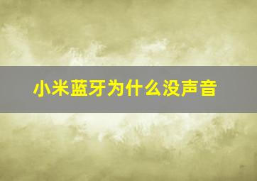 小米蓝牙为什么没声音