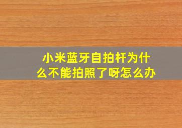 小米蓝牙自拍杆为什么不能拍照了呀怎么办