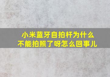 小米蓝牙自拍杆为什么不能拍照了呀怎么回事儿