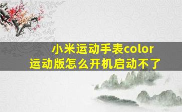 小米运动手表color运动版怎么开机启动不了