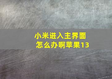 小米进入主界面怎么办啊苹果13