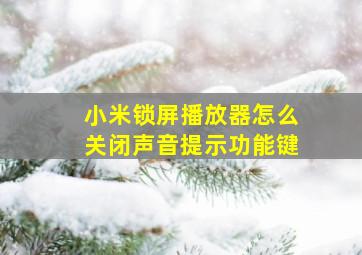 小米锁屏播放器怎么关闭声音提示功能键