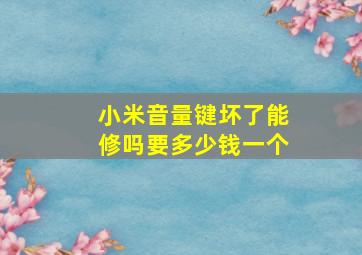 小米音量键坏了能修吗要多少钱一个