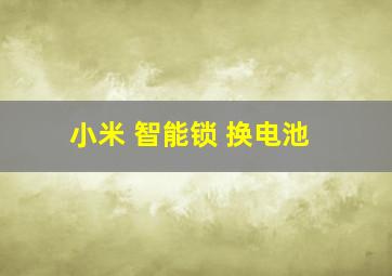 小米 智能锁 换电池