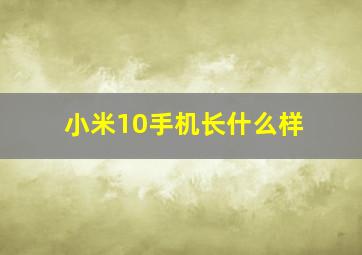 小米10手机长什么样