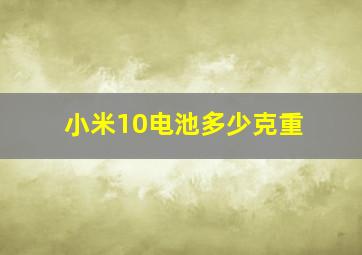 小米10电池多少克重