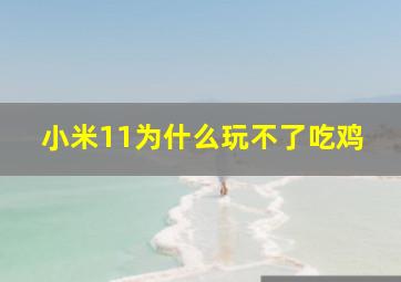 小米11为什么玩不了吃鸡