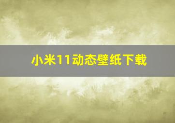 小米11动态壁纸下载