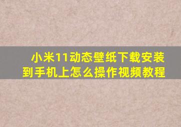 小米11动态壁纸下载安装到手机上怎么操作视频教程